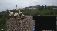 2024-06-13 13_15_07-Biecz gniazdo bocianów - YouTube – Maxthon.png