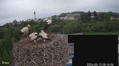 2024-06-13 13_15_25-Biecz gniazdo bocianów - YouTube – Maxthon.png