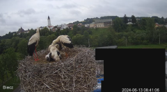 2024-06-13 13_15_37-Biecz gniazdo bocianów - YouTube – Maxthon.png