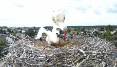 IMG_8489.jpeg
