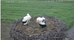 IMG_8493.jpeg