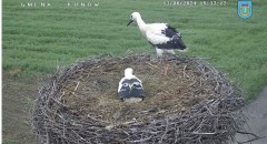 IMG_8501.jpeg