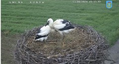 IMG_8504.jpeg