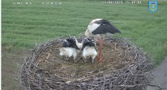 IMG_8514.jpeg