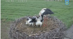 IMG_8518.jpeg