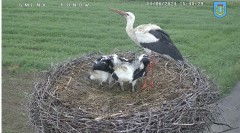 IMG_8523.jpeg