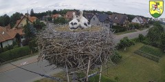 IMG_8414.jpeg