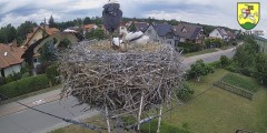 IMG_8531.jpeg
