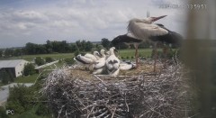 IMG_8347.jpeg