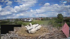 IMG_8393.jpeg