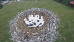 IMG_8282.jpeg