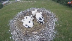 IMG_8337.jpeg