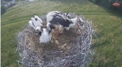 IMG_8596.jpeg
