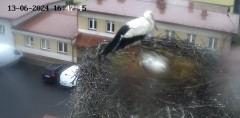 IMG_8552.jpeg