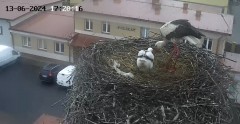 IMG_8570.jpeg