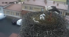 IMG_8571.jpeg