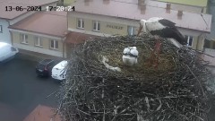 IMG_8575.jpeg