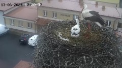 IMG_8578.jpeg