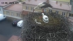 IMG_8586.jpeg