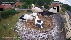 IMG_4945.jpeg