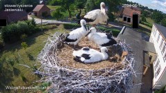 IMG_4965.jpeg