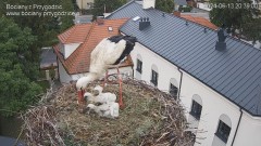 IMG_8702.jpeg