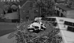 IMG_8706.jpeg