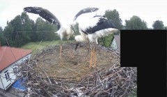 IMG_8542.jpeg
