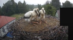 IMG_8681.jpeg