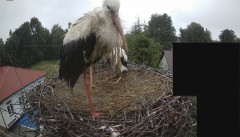 IMG_8710.jpeg