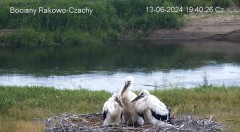 IMG_8645.jpeg