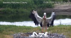 IMG_8685.jpeg