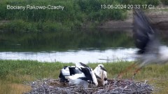 IMG_8691.jpeg