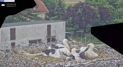 IMG_8646.jpeg