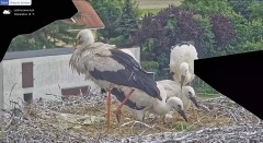 IMG_8657.jpeg