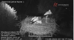IMG_8750.jpeg