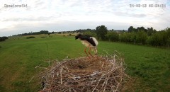 IMG_8194.jpeg