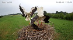 IMG_8752.jpeg