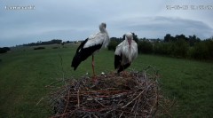 IMG_8758.jpeg