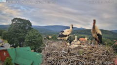 IMG_8766.jpeg