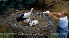 IMG_8787.jpeg