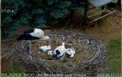 IMG_8274.jpeg