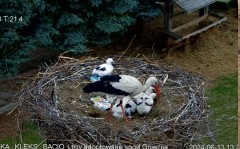 IMG_8288.jpeg