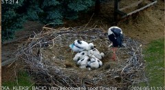 IMG_8326.jpeg