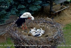 IMG_8370.jpeg