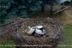 IMG_8419.jpeg
