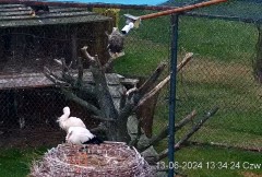 IMG_8293.jpeg