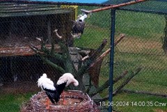 IMG_8335.jpeg