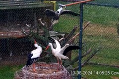 IMG_8369.jpeg