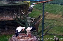 IMG_8371.jpeg